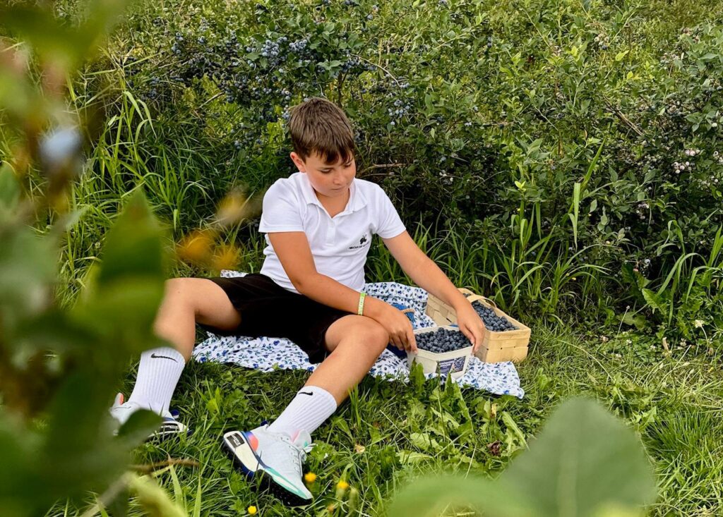 Wiktor, brat Patrycji na polu borówek